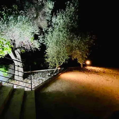 Beautiful 5 Bedroom With Direct Sea View Vila *